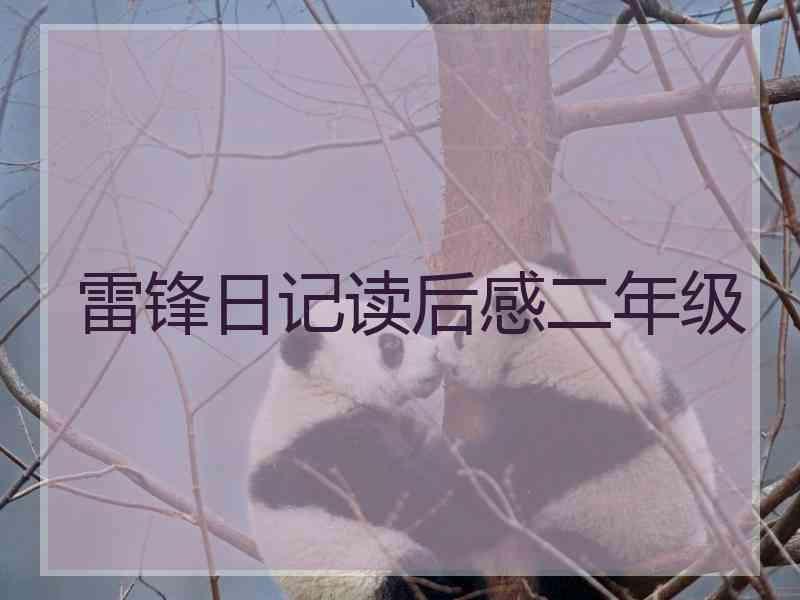 雷锋日记读后感二年级