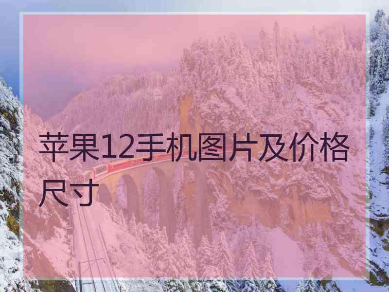 苹果12手机图片及价格尺寸