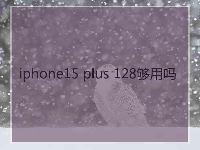 iphone15 plus 128够用吗