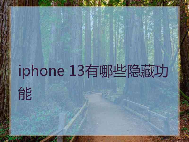 iphone 13有哪些隐藏功能