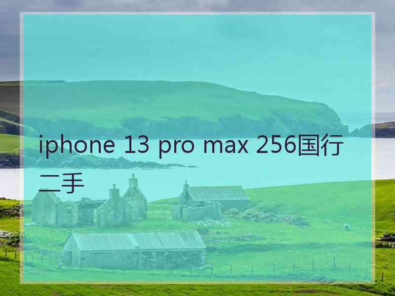 iphone 13 pro max 256国行二手