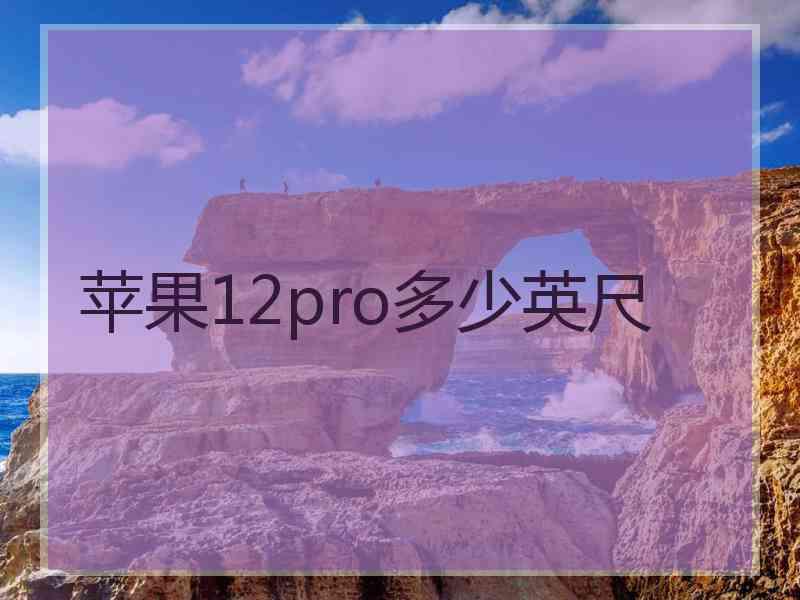 苹果12pro多少英尺