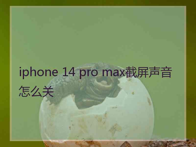 iphone 14 pro max截屏声音怎么关