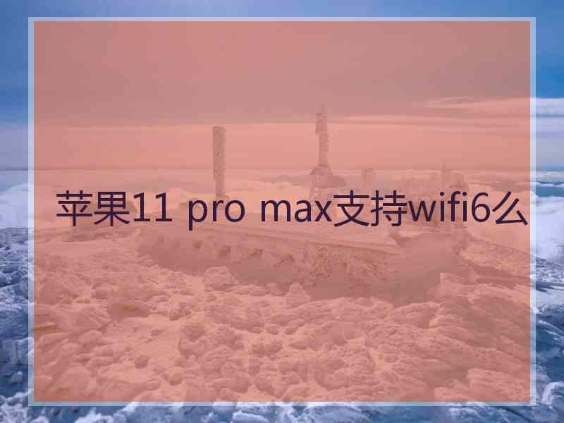 苹果11 pro max支持wifi6么