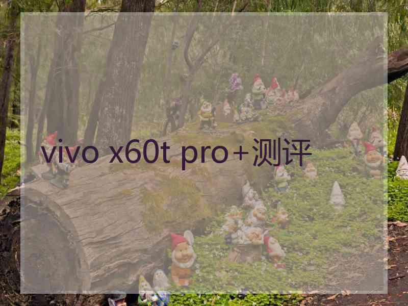 vivo x60t pro+测评