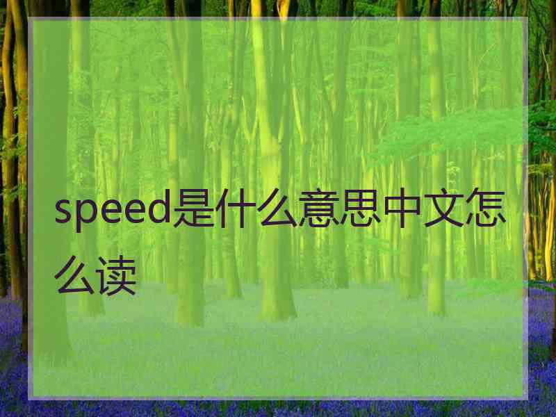 speed是什么意思中文怎么读