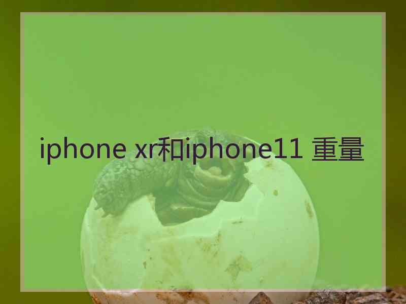 iphone xr和iphone11 重量