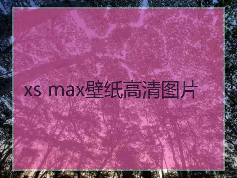 xs max壁纸高清图片