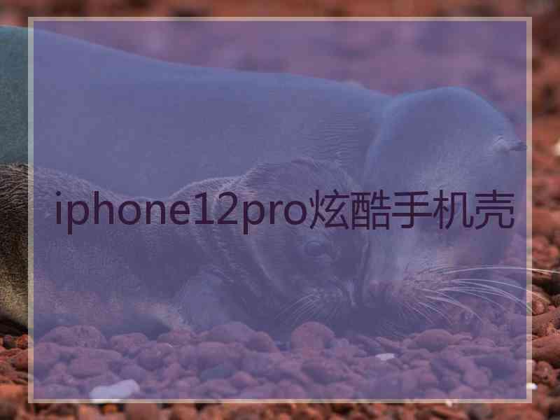 iphone12pro炫酷手机壳