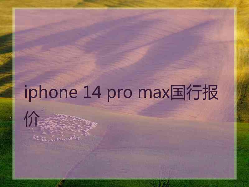 iphone 14 pro max国行报价