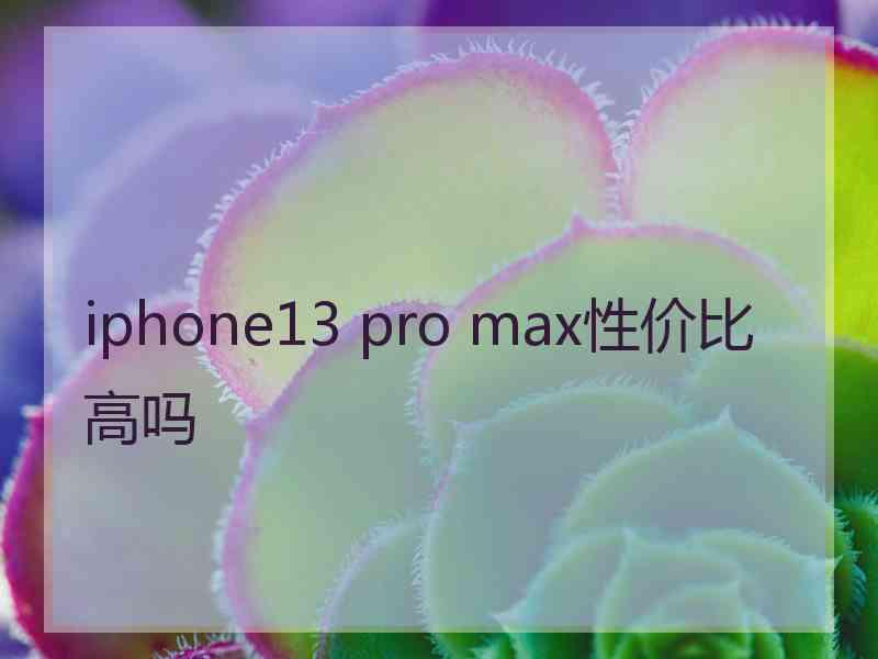 iphone13 pro max性价比高吗