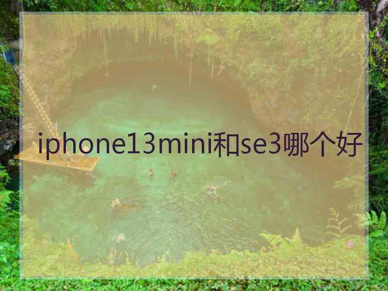 iphone13mini和se3哪个好