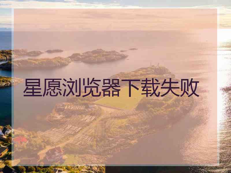 星愿浏览器下载失败