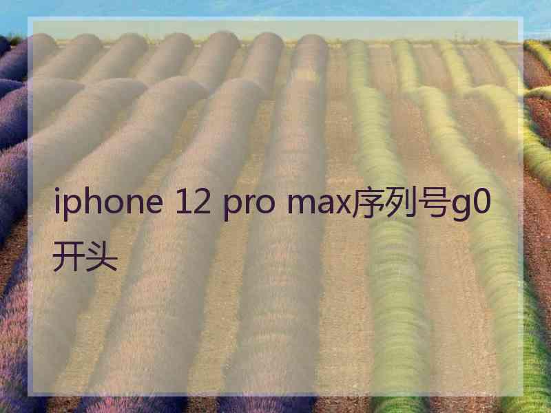 iphone 12 pro max序列号g0开头