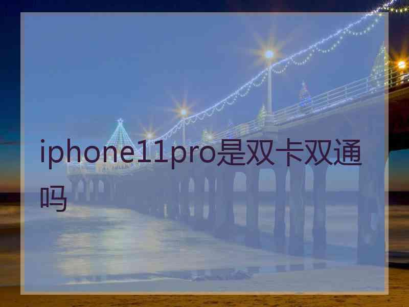 iphone11pro是双卡双通吗