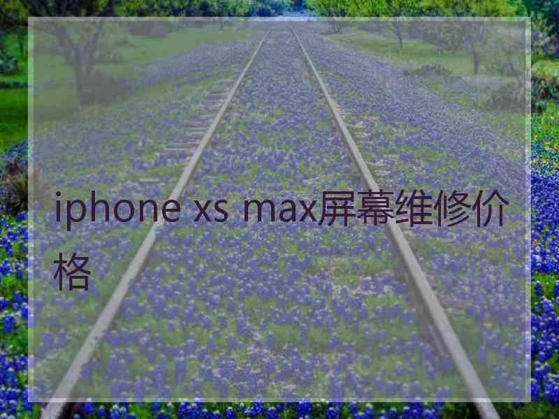 iphone xs max屏幕维修价格