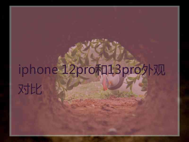 iphone 12pro和13pro外观对比