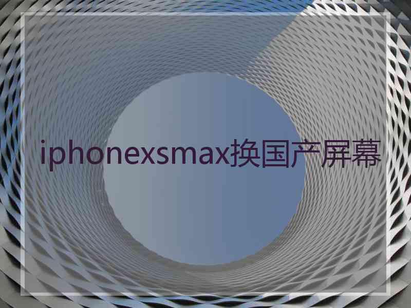 iphonexsmax换国产屏幕