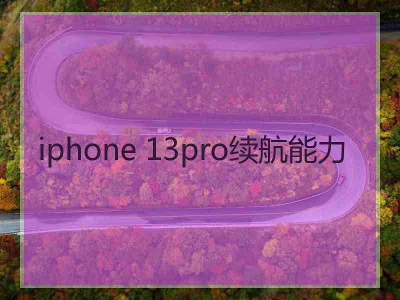 iphone 13pro续航能力