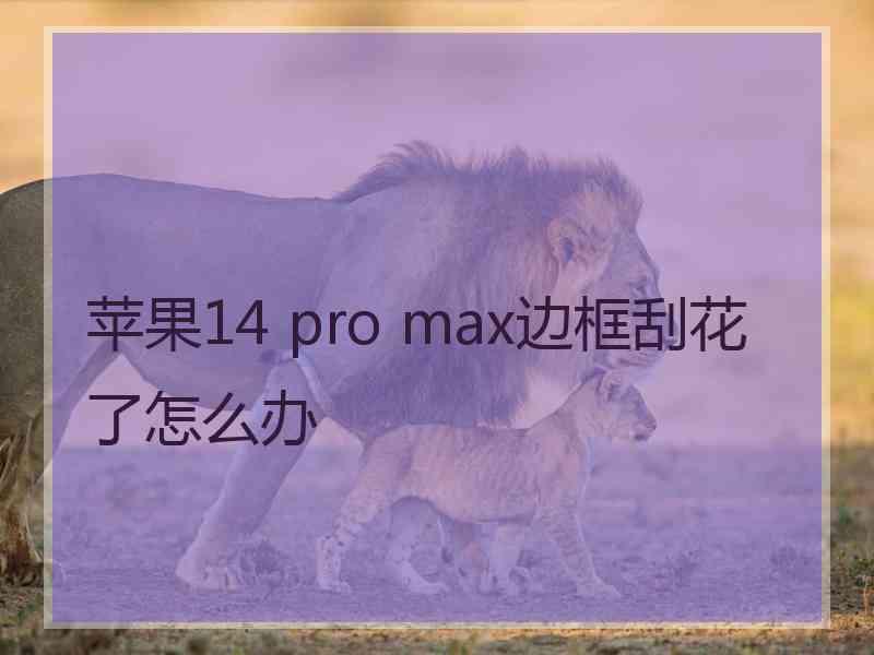 苹果14 pro max边框刮花了怎么办