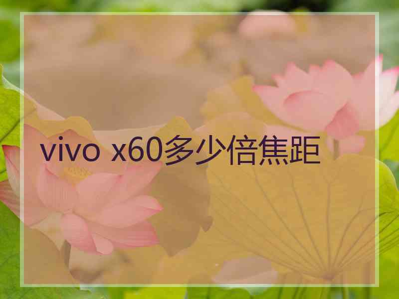 vivo x60多少倍焦距