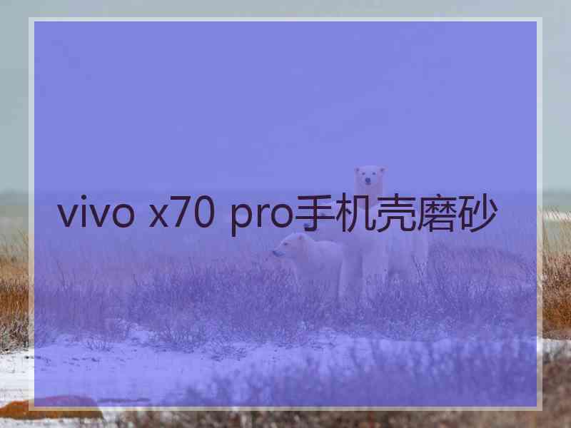 vivo x70 pro手机壳磨砂