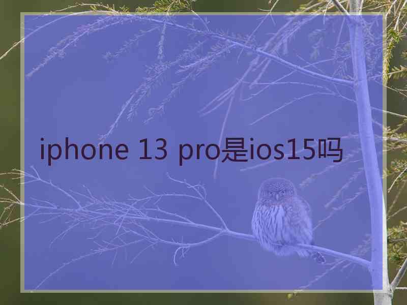 iphone 13 pro是ios15吗