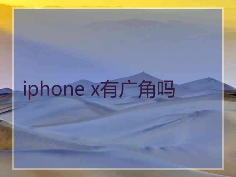 iphone x有广角吗