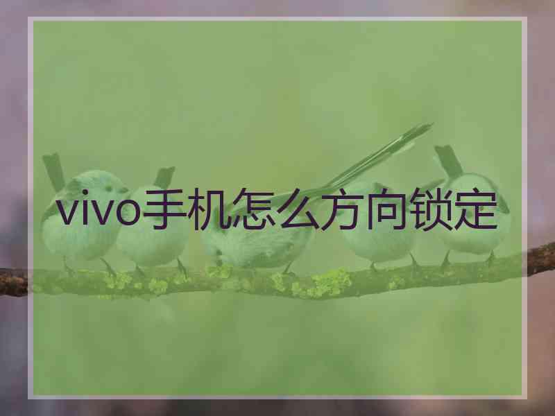 vivo手机怎么方向锁定