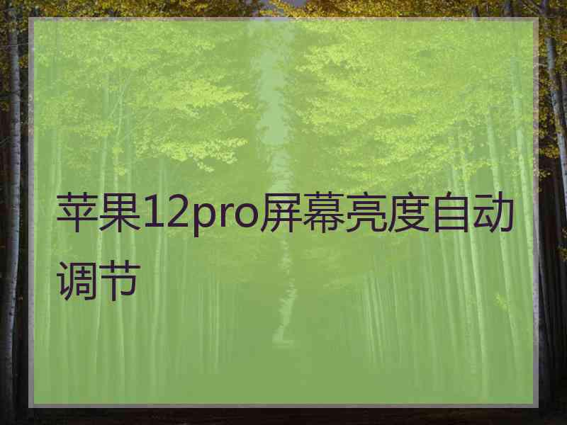 苹果12pro屏幕亮度自动调节