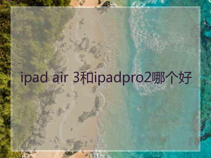 ipad air 3和ipadpro2哪个好