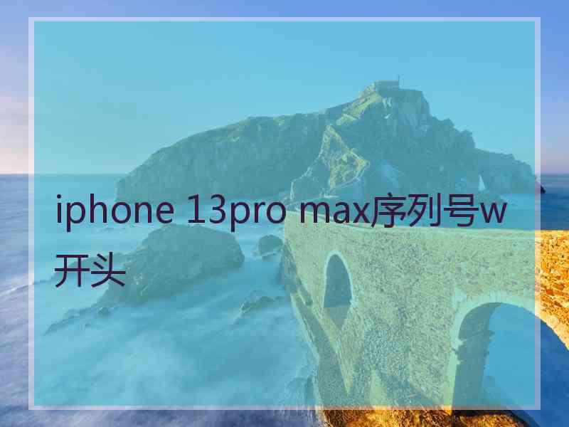 iphone 13pro max序列号w开头