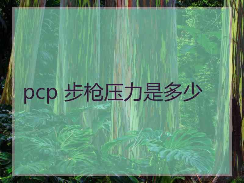 pcp 步枪压力是多少