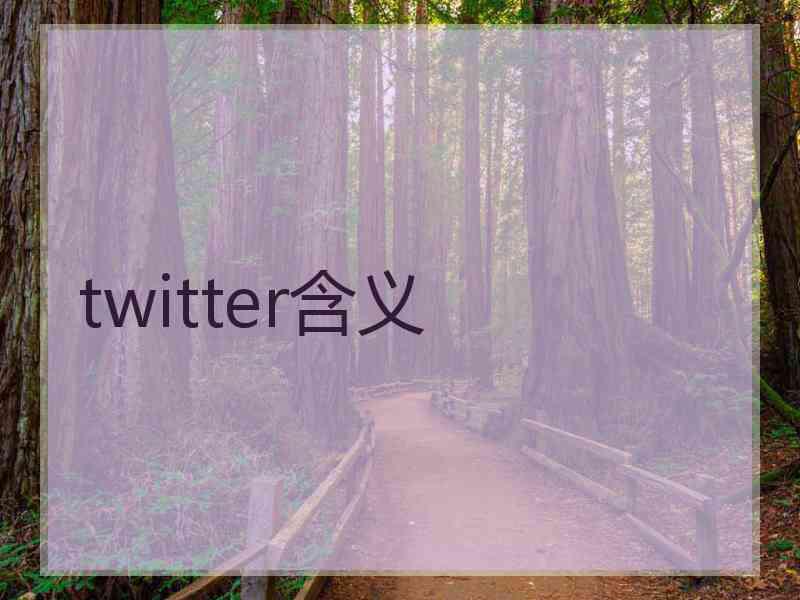 twitter含义