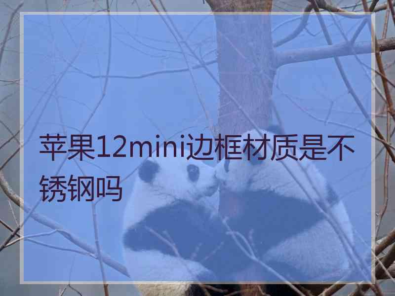 苹果12mini边框材质是不锈钢吗