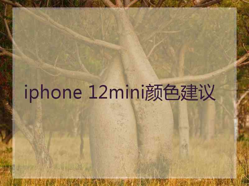 iphone 12mini颜色建议