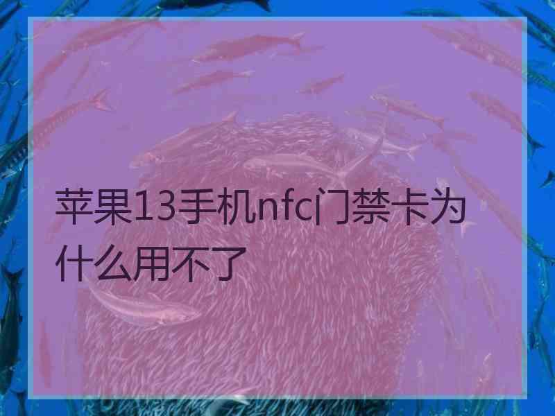 苹果13手机nfc门禁卡为什么用不了