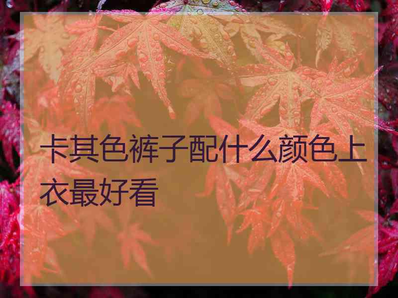 卡其色裤子配什么颜色上衣最好看