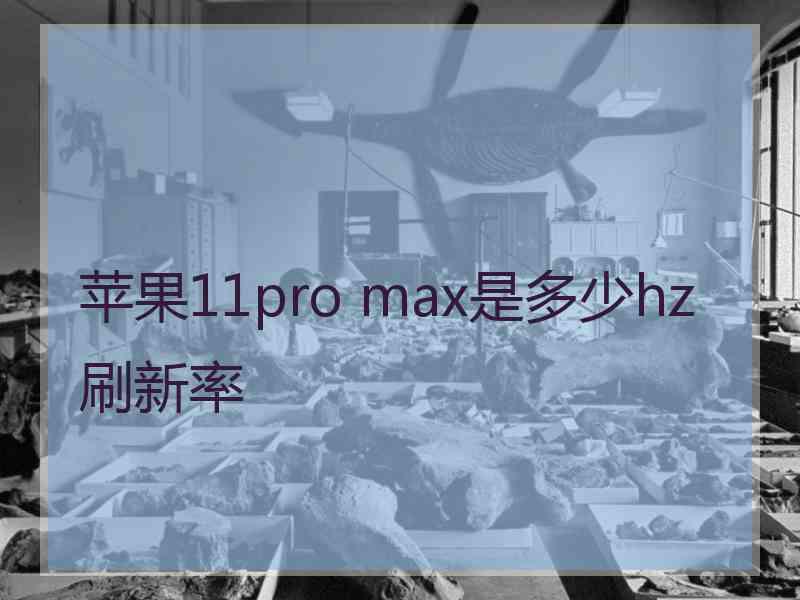 苹果11pro max是多少hz刷新率