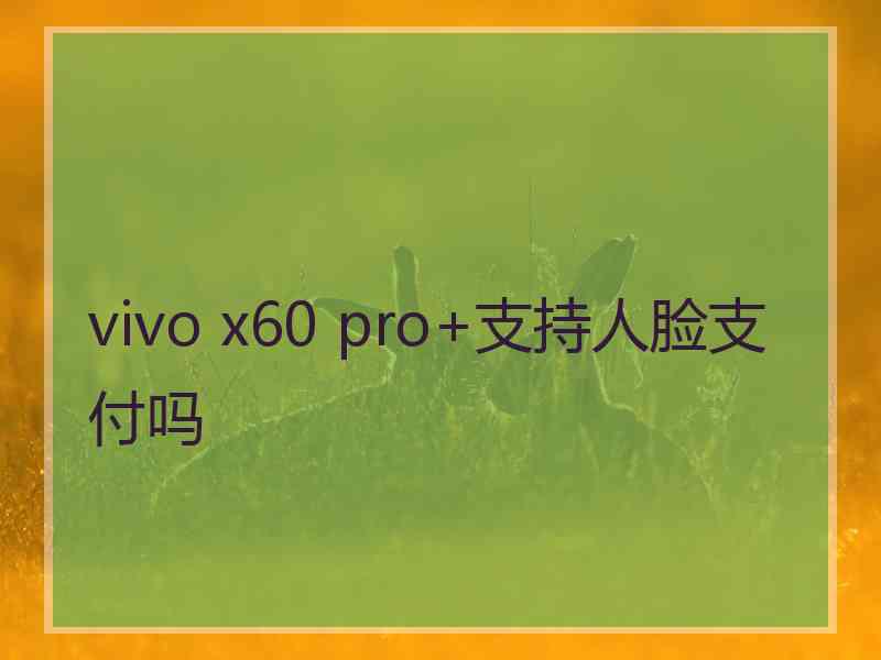 vivo x60 pro+支持人脸支付吗