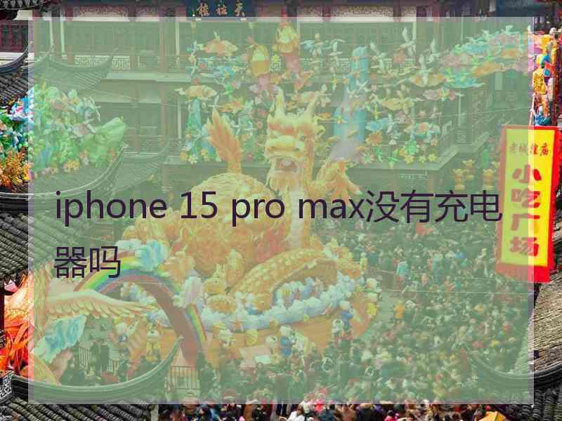 iphone 15 pro max没有充电器吗