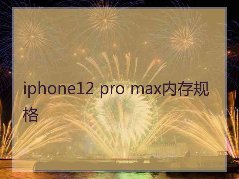 iphone12 pro max内存规格