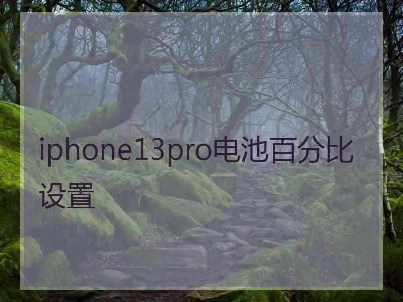 iphone13pro电池百分比设置