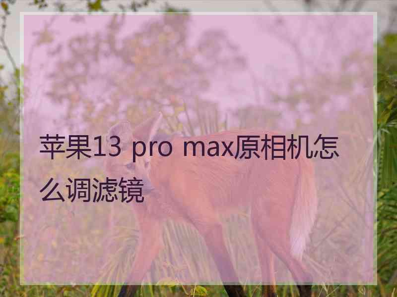 苹果13 pro max原相机怎么调滤镜