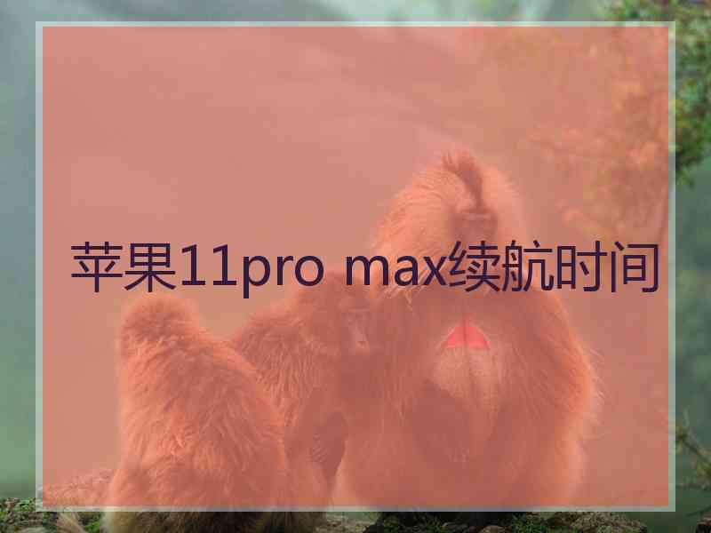 苹果11pro max续航时间