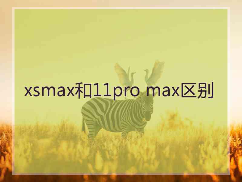 xsmax和11pro max区别