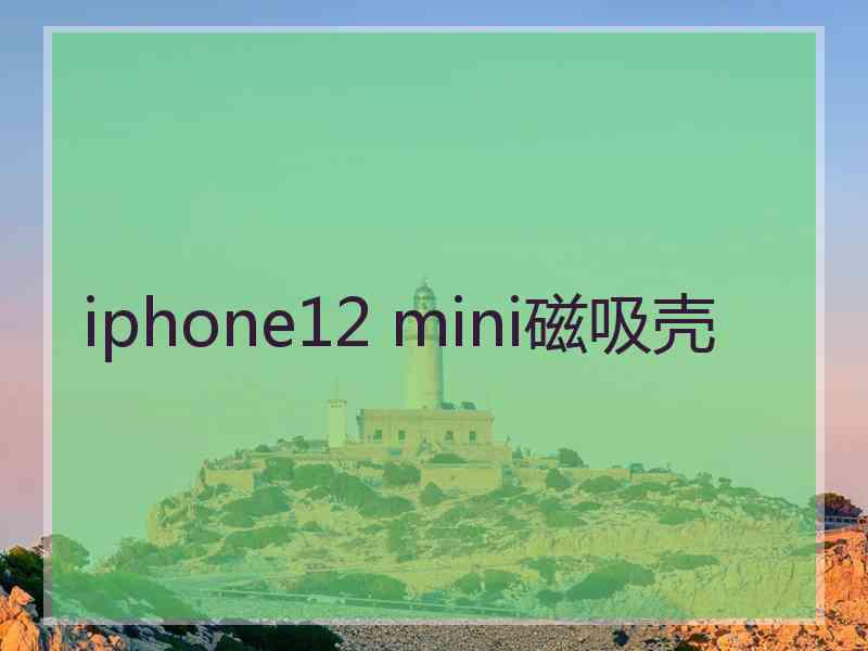 iphone12 mini磁吸壳