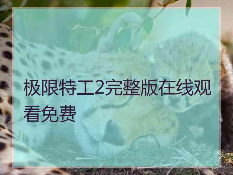 极限特工2完整版在线观看免费