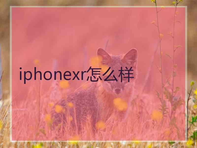 iphonexr怎么样