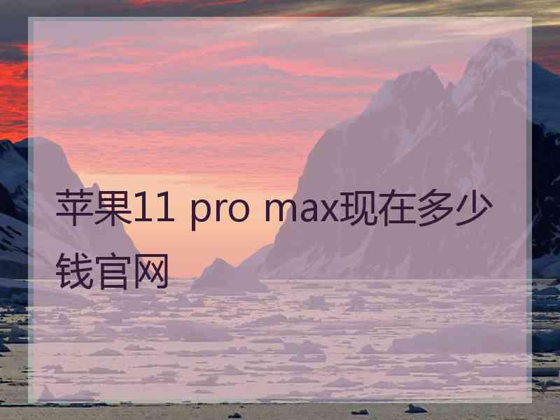 苹果11 pro max现在多少钱官网